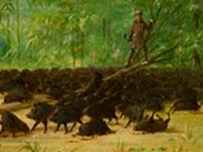 George Catlin: pinturas de Sudamérica