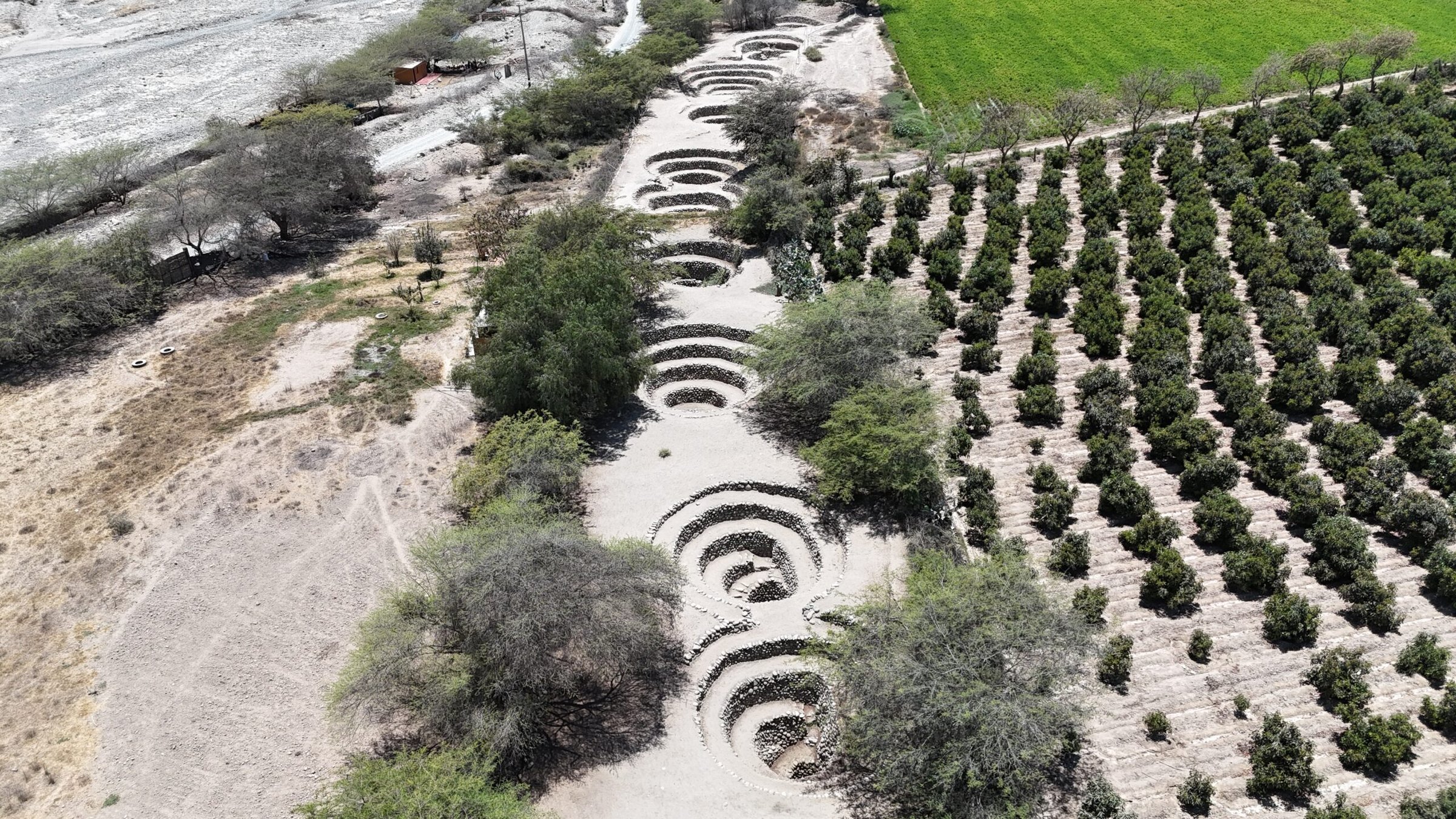 Mujer. Paisaje. Agua.                                                               La vida que fluye en el Valle de Nasca