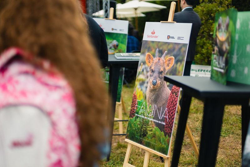 Este verano, descubre la Fauna de Chile con esta nueva publicación