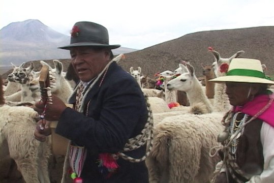 aymara-floreo.jpeg