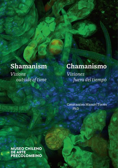 Chamanismo, visiones fuera del tiempo