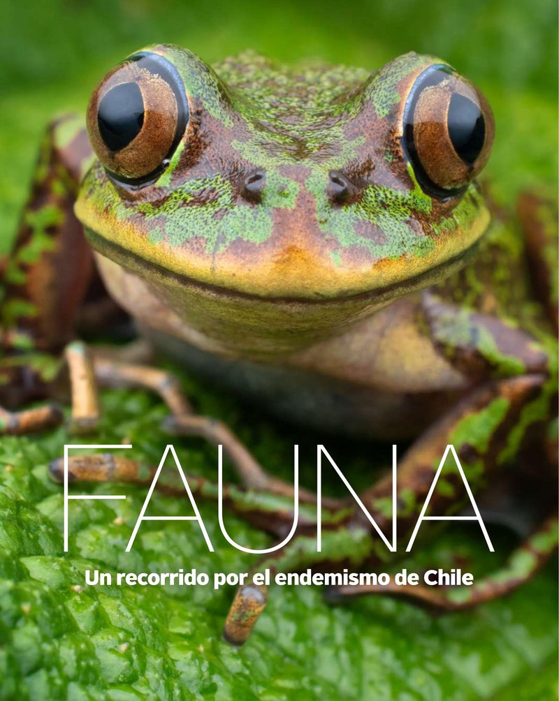 Fauna, un recorrido por el endemismo de Chile cover