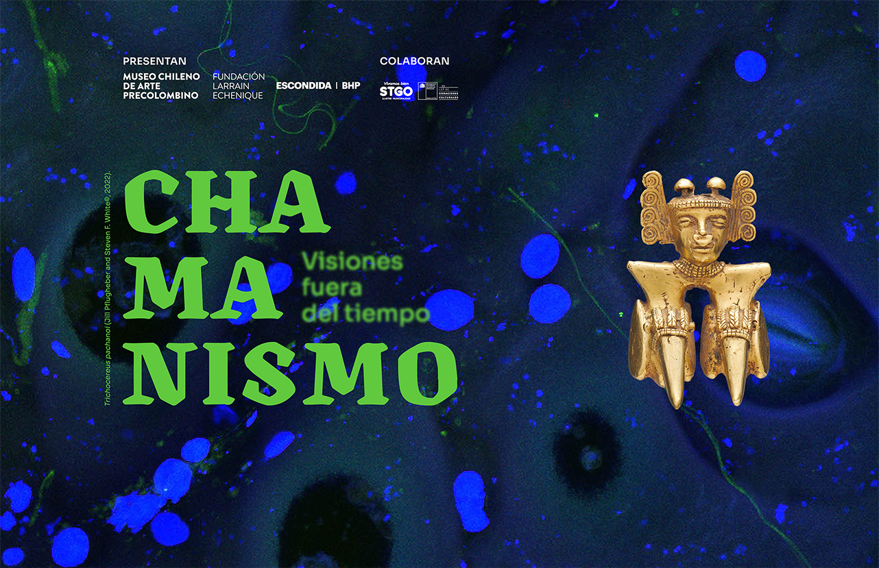 Chamanismo: Visiones fuera del tiempo, la nueva exposición del  Museo Chileno de Arte Precolombino